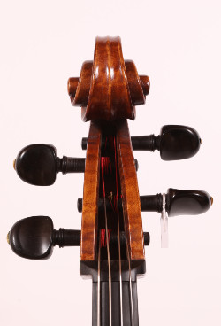 Gaetano Pareschi Cello - Ferrara 1973